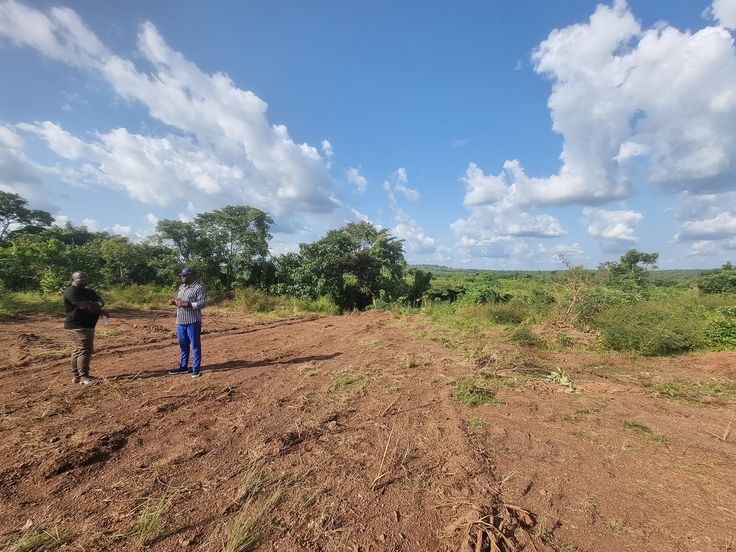 Land survey site